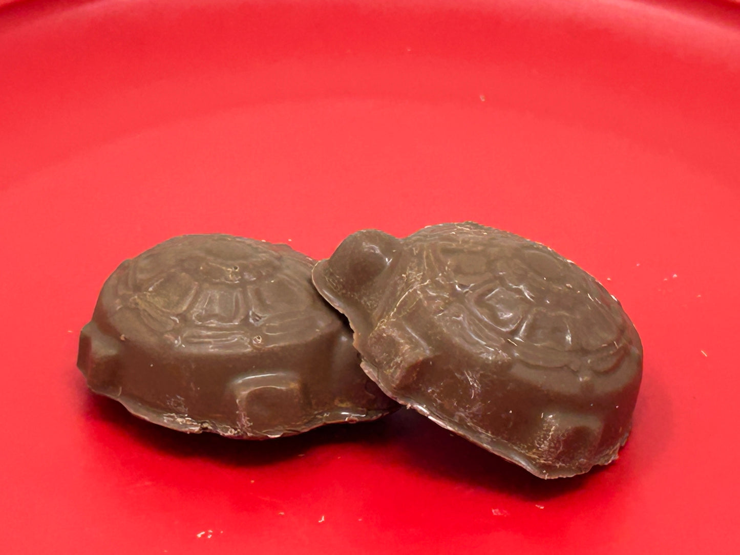 Milk Chocolate Turtle 2 pack