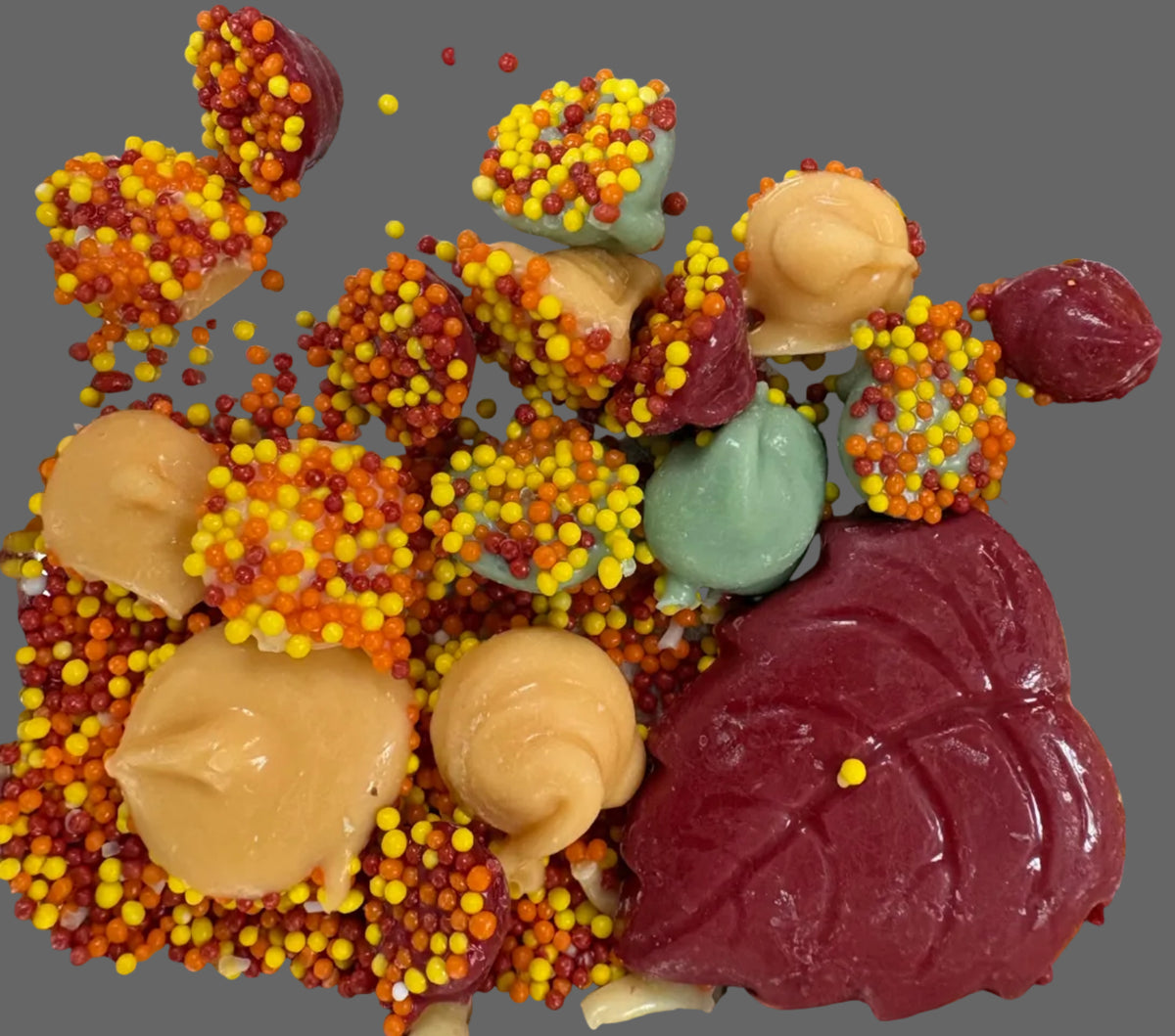 Fall colored hand piped white chocolate non-pareils with red chocolate leaf